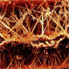 Gypsum