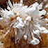 Selenite