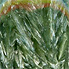 Seraphinite