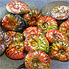 Ammolite