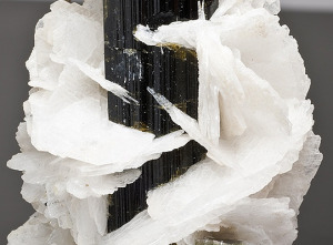 Albite