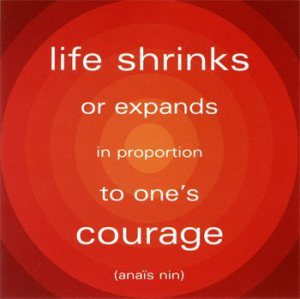 Shimmerlings Creative Courage Challenge  7 Things Follow Up