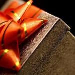 Shimmerlings Gift Ideas, Love Me Tender, Forget Me Not, a Year of Love