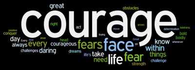 Shimmerlings Creative Courage Challenge - 7 Things to do in 2014 To Build Your Courage