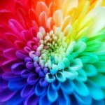 The Power and Psychology of Color