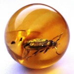 Amber
