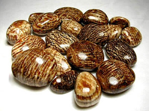 Aragonite 