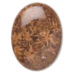 Chrysanthemum Stone