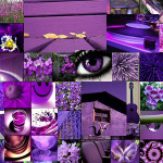 The Power of the color Purple or Violet from Shimmerlings