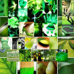 The Power of the color Green from Shimmerlings