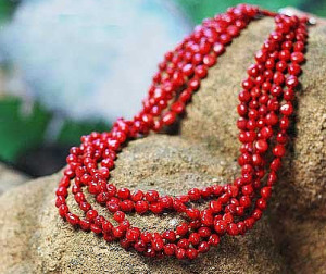Coral 