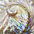 Abalone Gemstone Properties