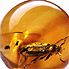 Amber Gemstone Properties
