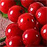 Coral Gemstone Properties