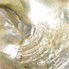 Mother Of Pearl Gemstone Properties