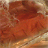 Sunstone Gemstone Properties