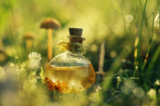 shimmelrings_jar
