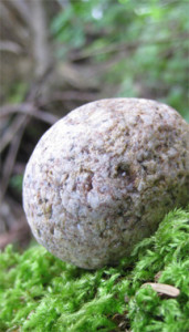 shimmerlings_stone