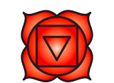 1st Root//Base Chakra