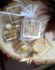 FAE00115_fairydust4